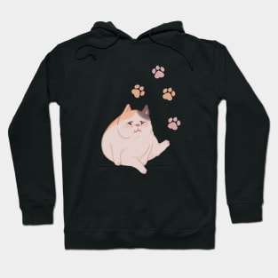 FFXIV - Fat Cat Hoodie